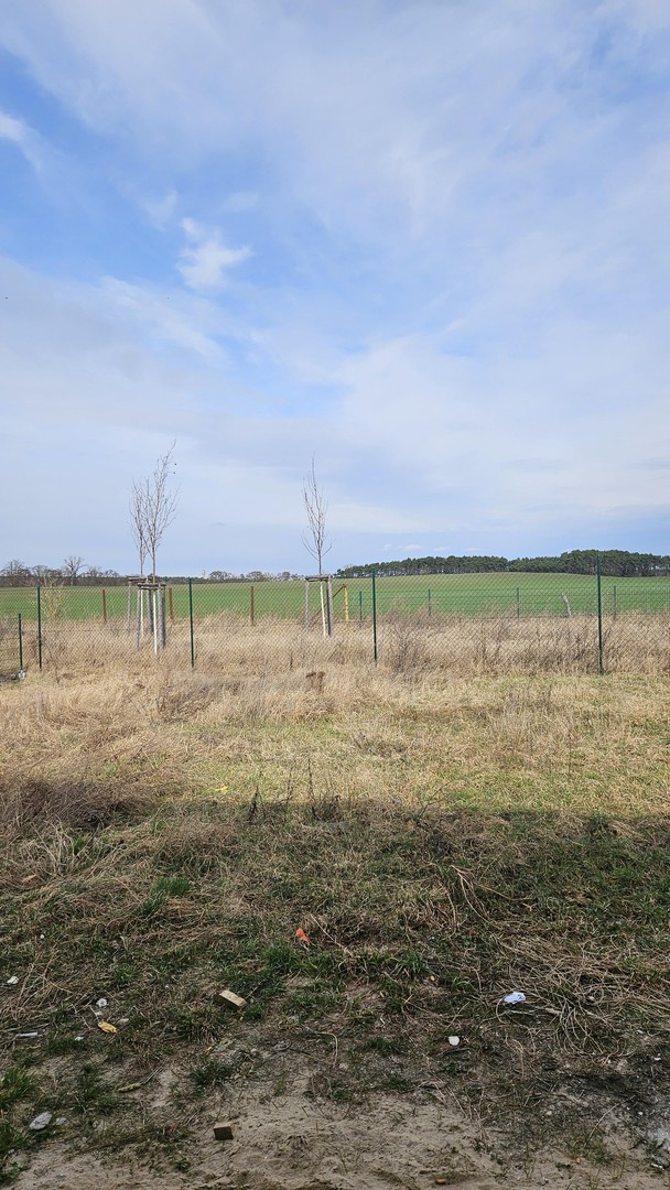 Property thumbnail 28