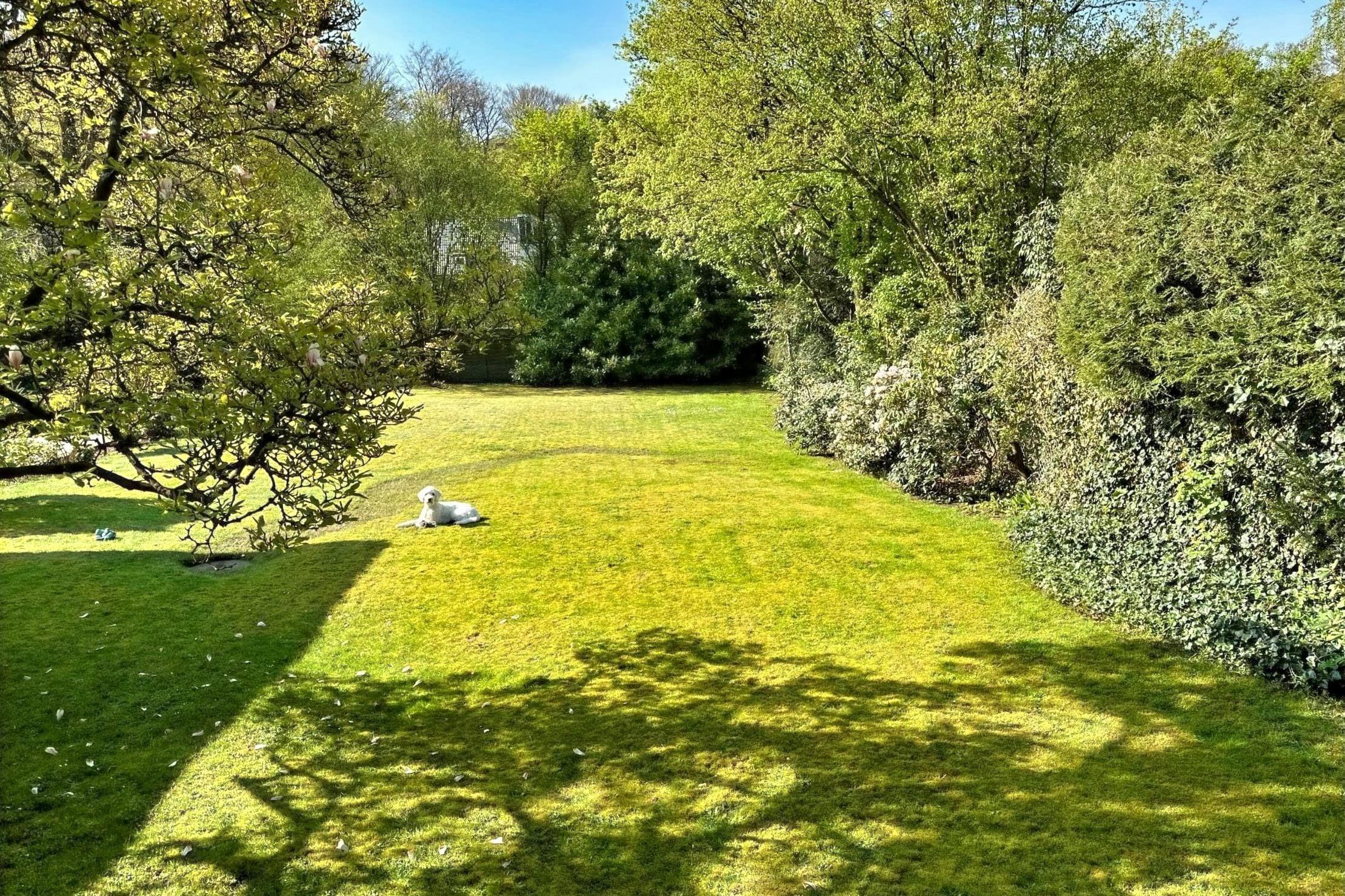 Property thumbnail 27