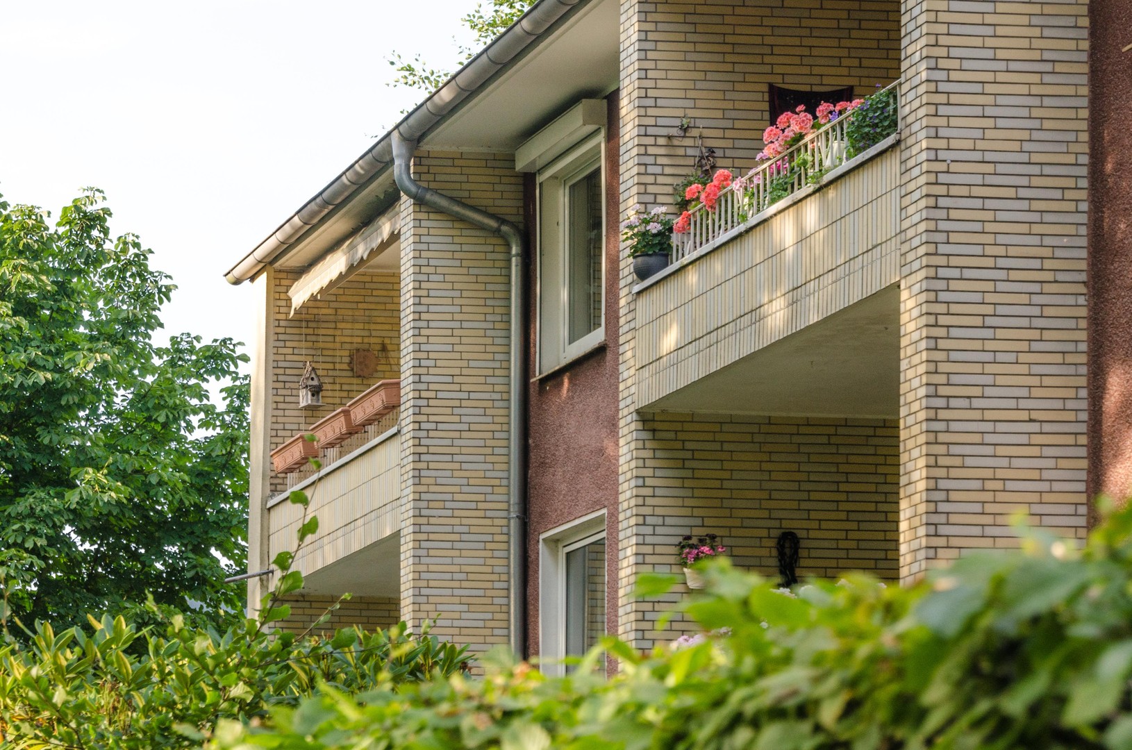 Property thumbnail 3