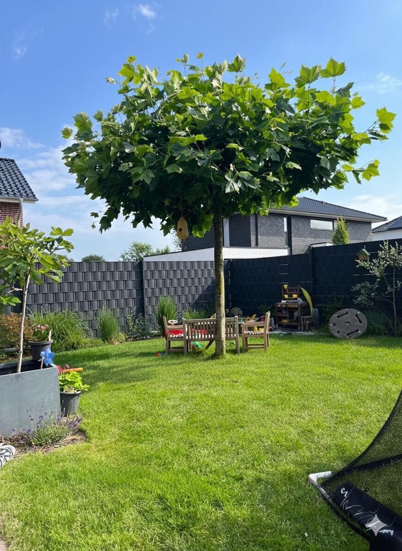 Property thumbnail 13