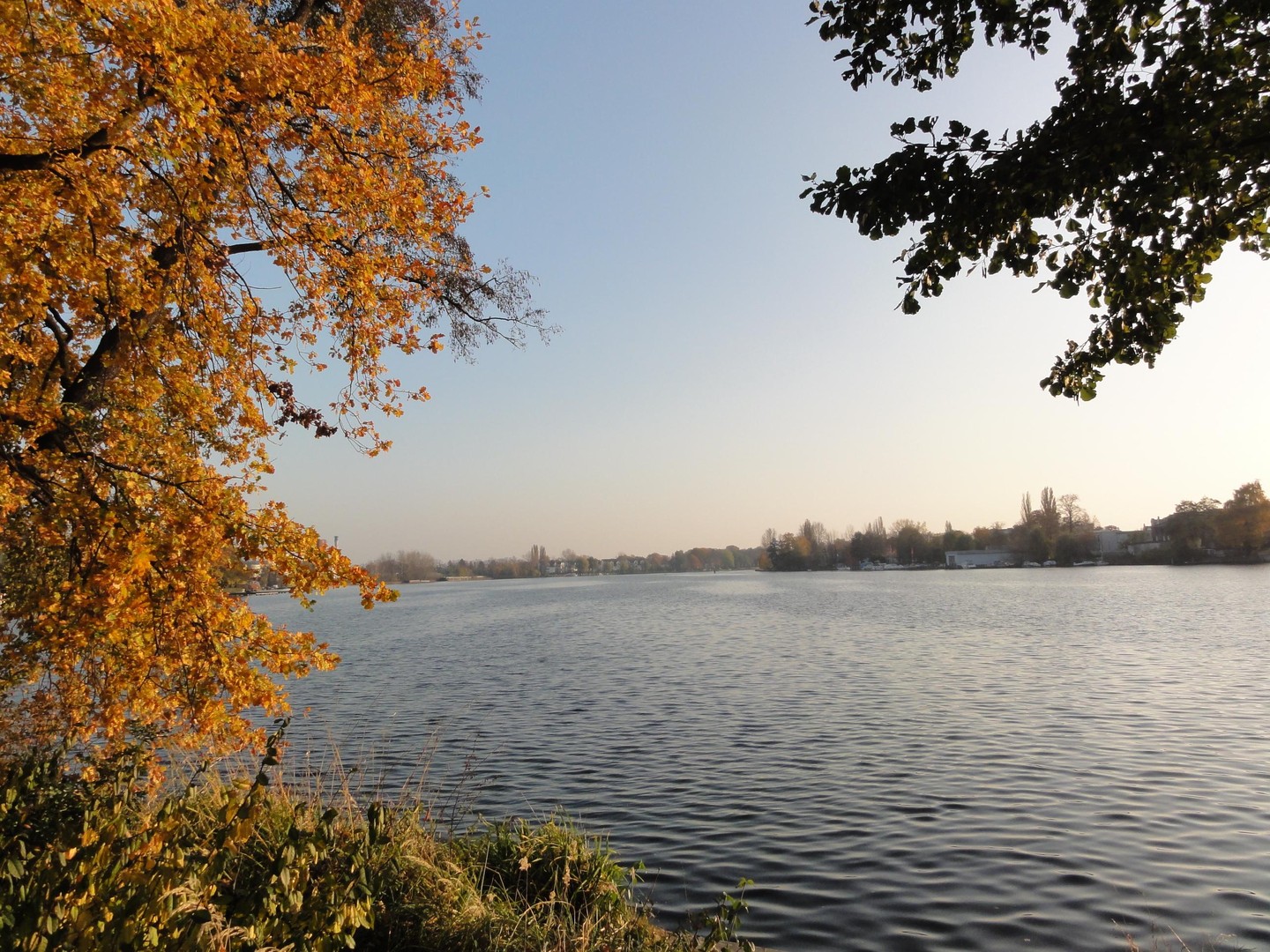 Property thumbnail 17