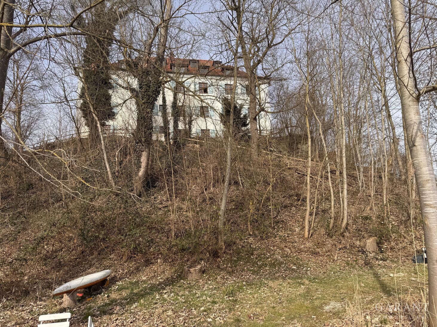 bg