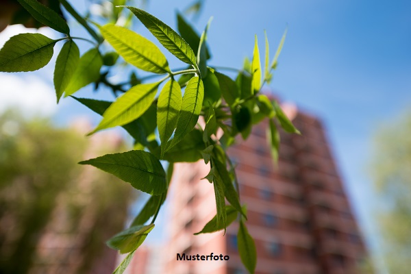 Kleine 3-Zimmer-Wohnung nebst Loggia