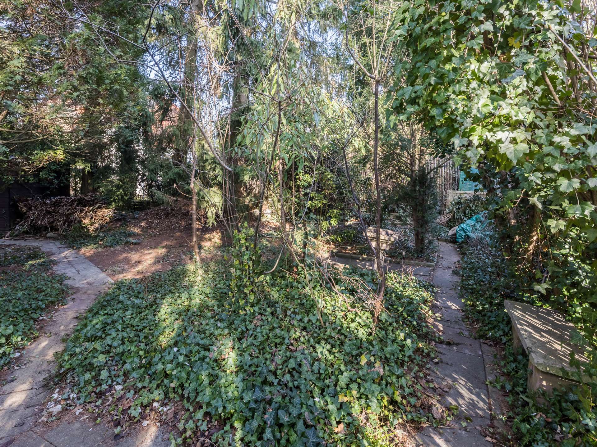 Property thumbnail 4