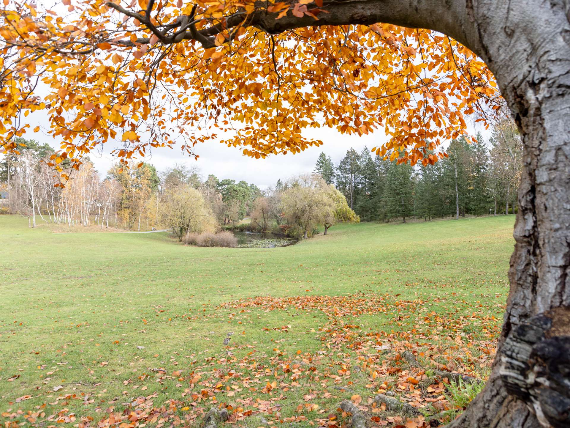 Property thumbnail 15