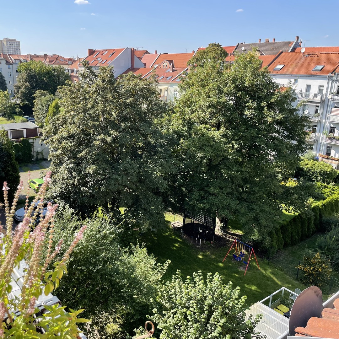 Property thumbnail 3