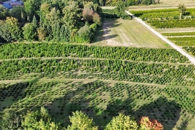 Property thumbnail 29