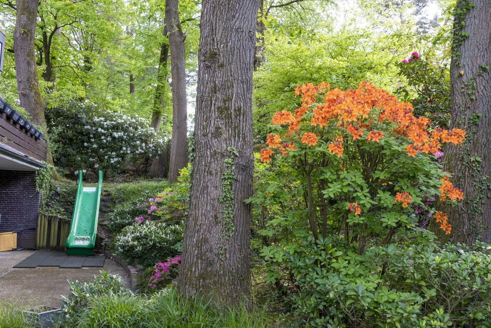 Property thumbnail 8