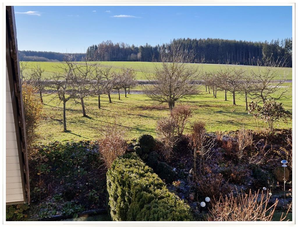 Frei stehendes Einfamilienhaus in Ortsrandlage von Fürstenfeldbruck-Aich – Fürstenfeldbruck – Vorschaubild 10