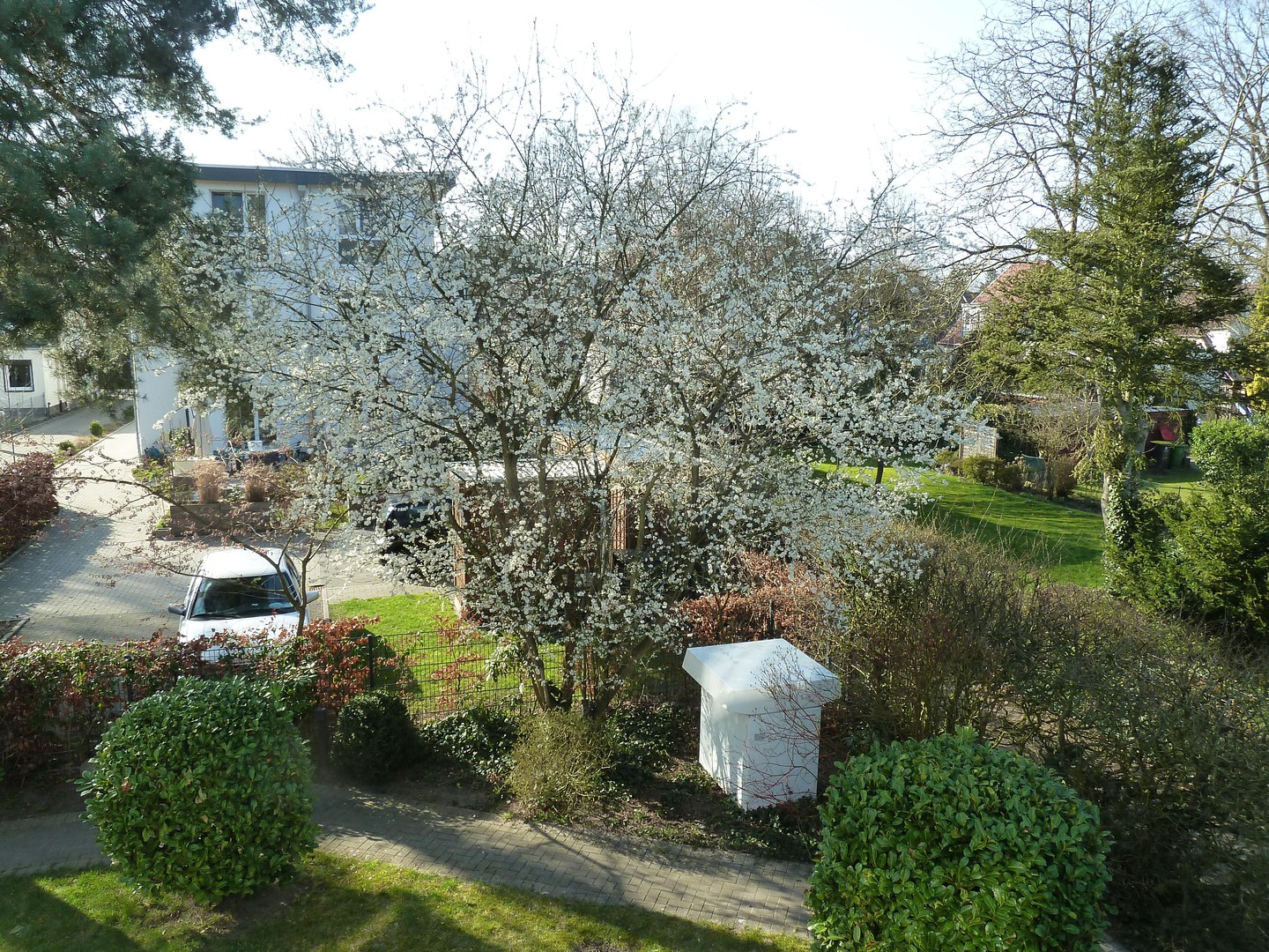 Property thumbnail 18