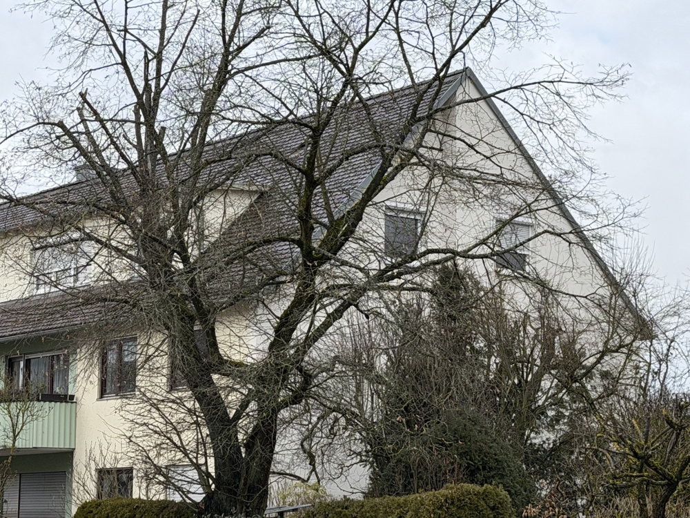 4-Zimmer-Eigentumswohnung in begehrter Wohnlage - WG tauglich – Regensburg – Vorschaubild 4