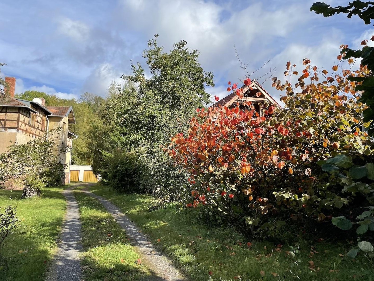 Immobilie in Harztor - Villa/Mehrfamilienhaus am Südharz in idyllischem Erholungsort - mit Ausbau-/Investmentpotential - Bild 1