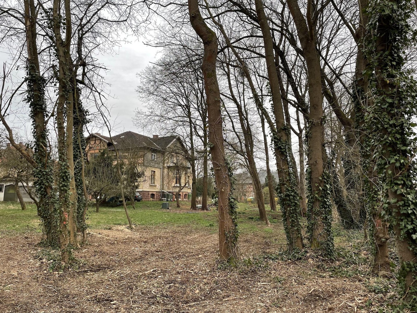 Immobilie in Harztor - Villa/Mehrfamilienhaus am Südharz in idyllischem Erholungsort - mit Ausbau-/Investmentpotential - Bild 4