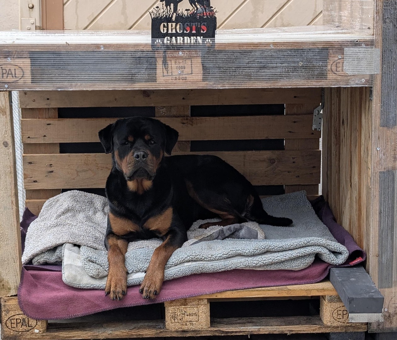 Property thumbnail 16