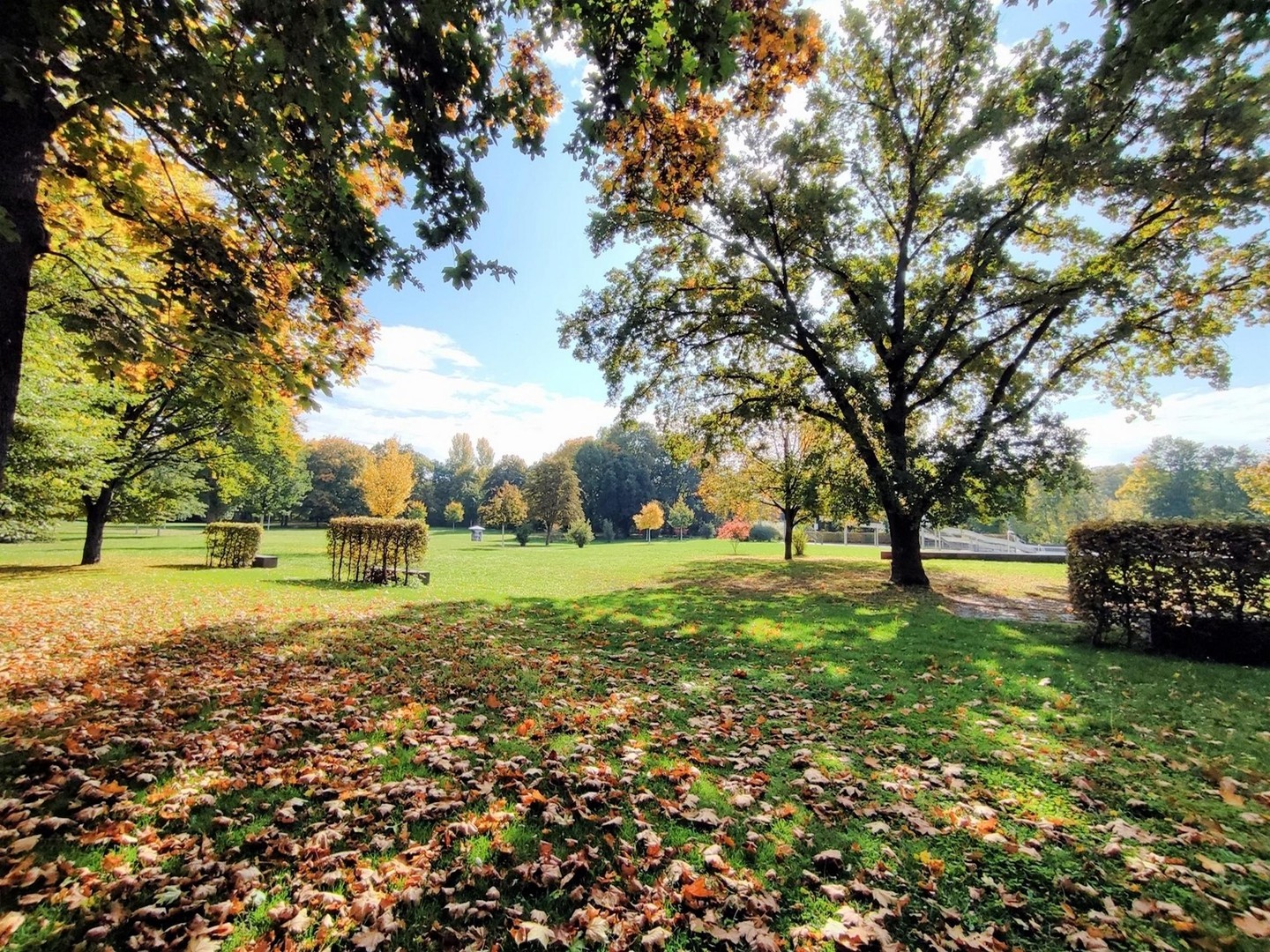 Property thumbnail 11