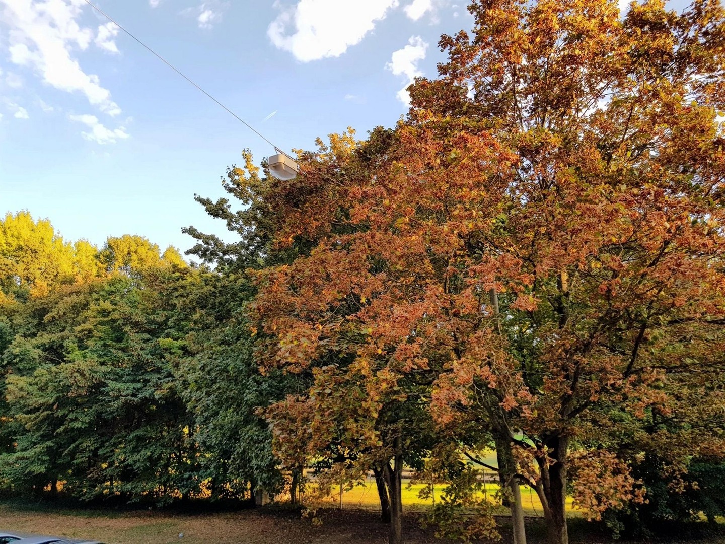 Property thumbnail 12