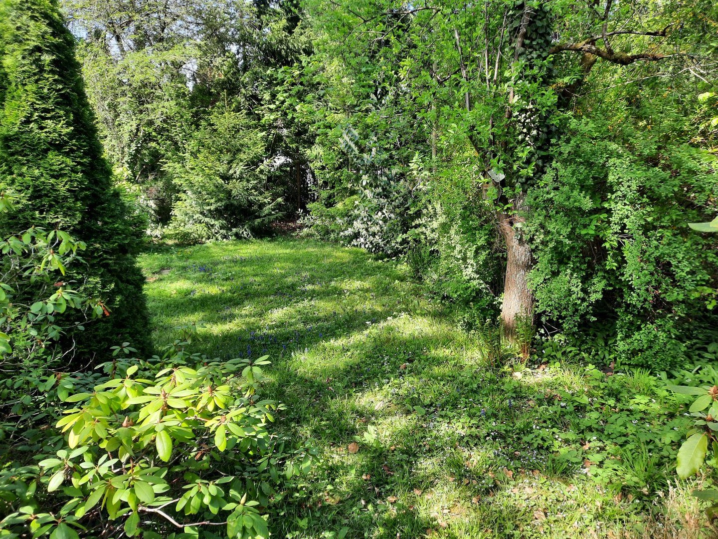 Doppelhaushälfte Vaterstetten mit großem Garten – Vaterstetten – Vorschaubild 2