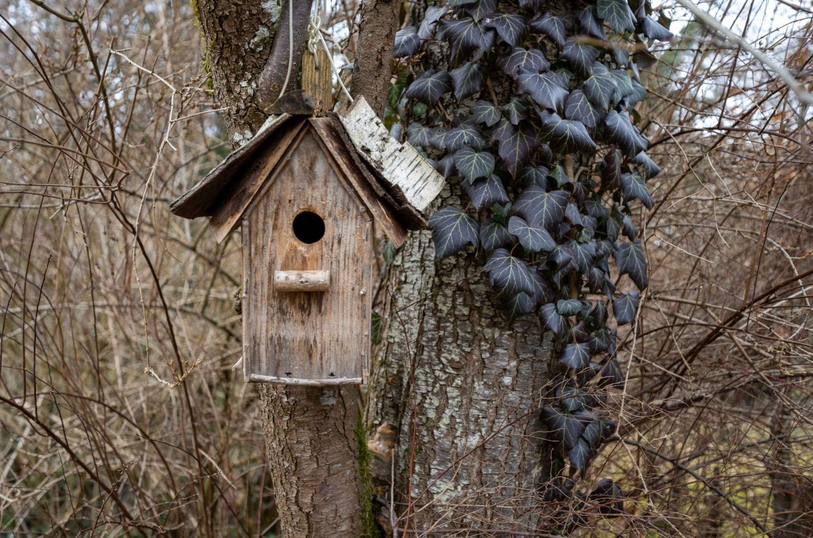 Doppelhaushälfte Vaterstetten mit großem Garten – Vaterstetten – Vorschaubild 7