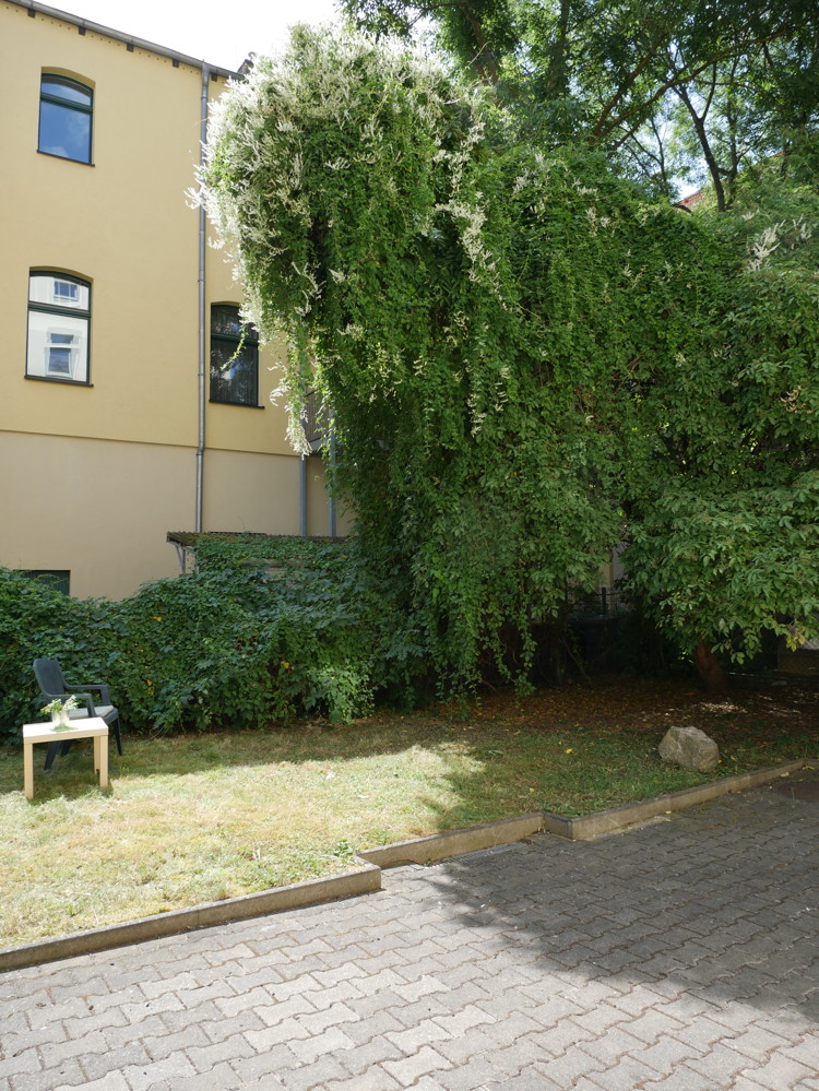 Property thumbnail 6