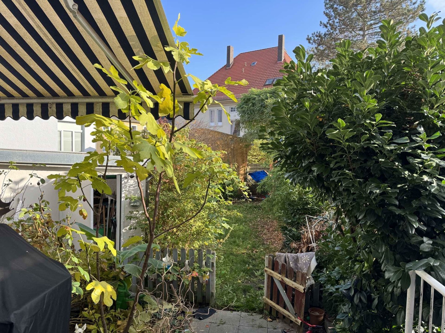 Property thumbnail 10