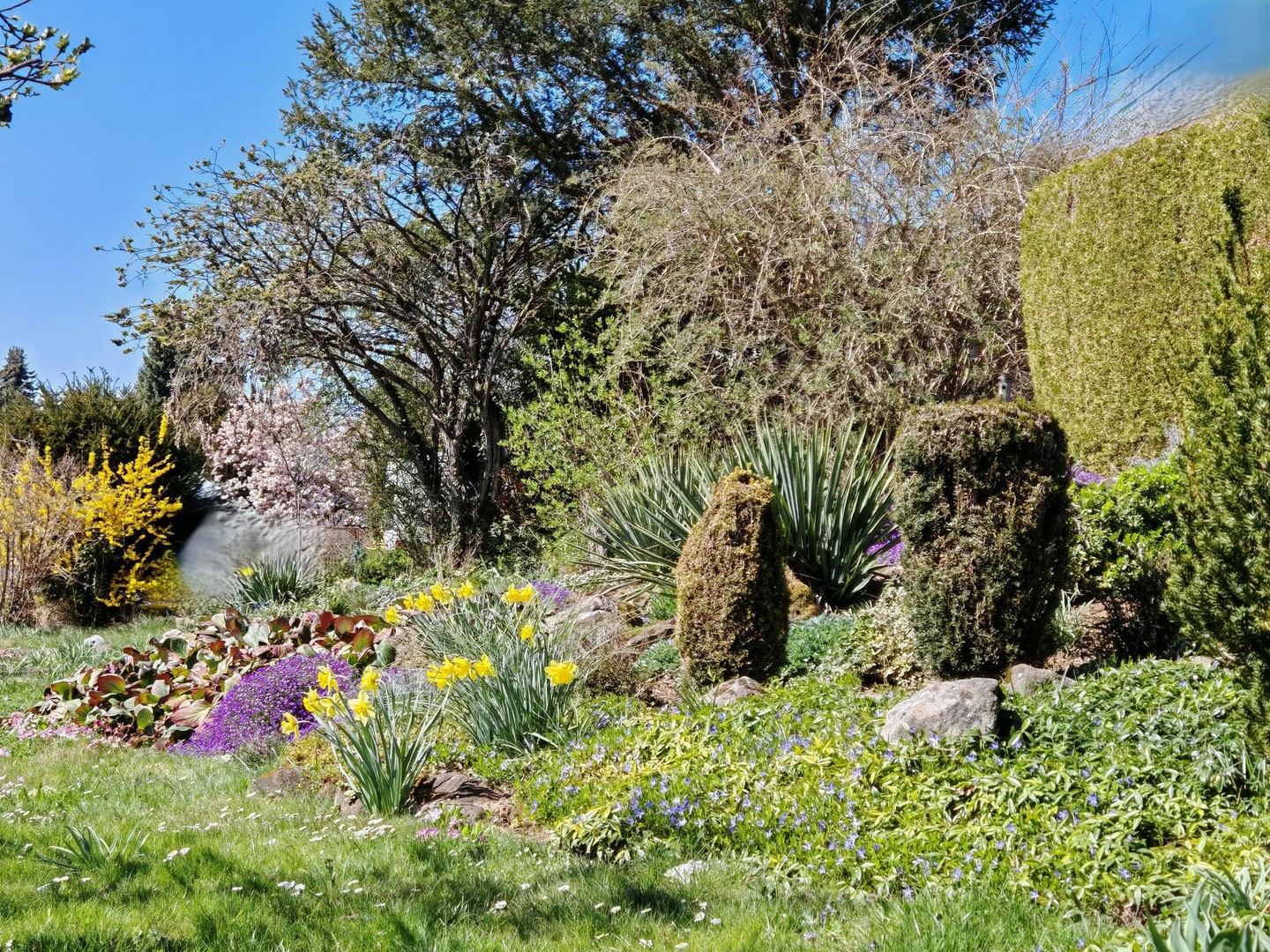 Property thumbnail 12