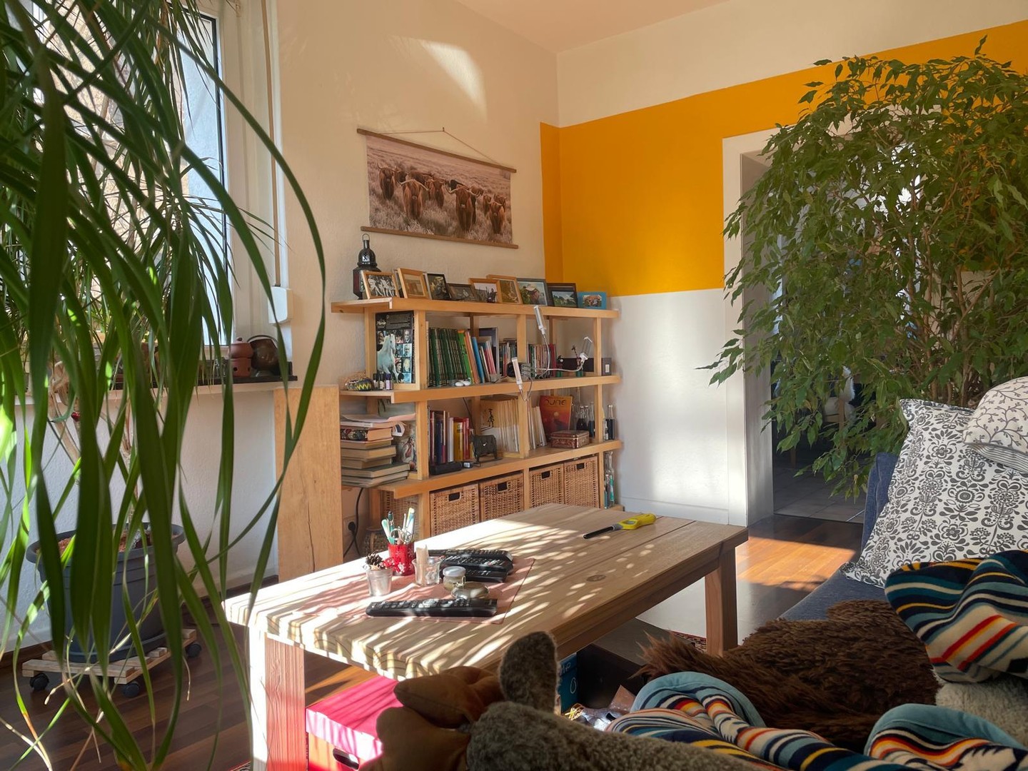 Property thumbnail 3