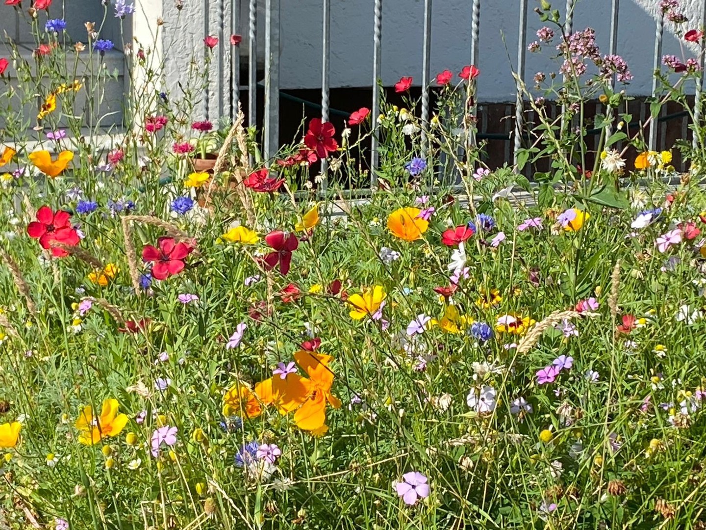 Property thumbnail 13