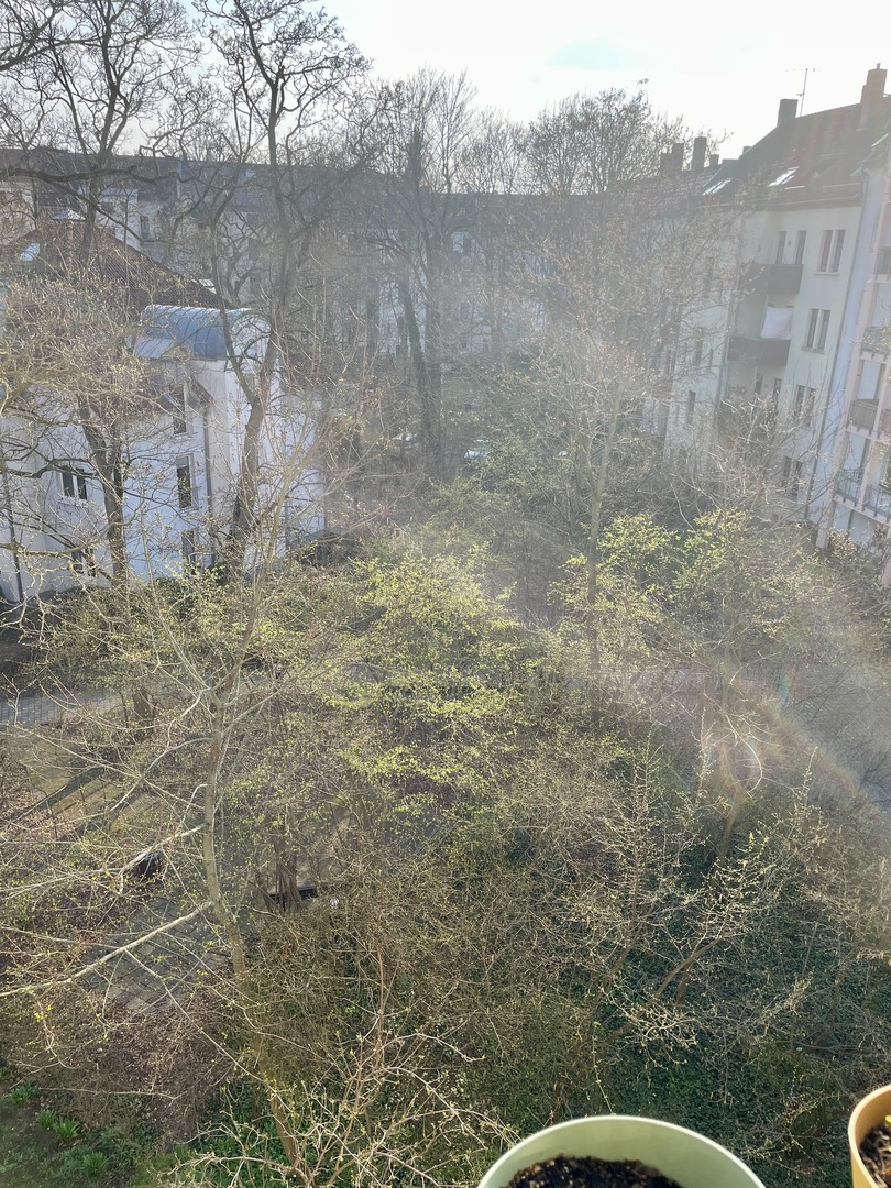 Property thumbnail 16