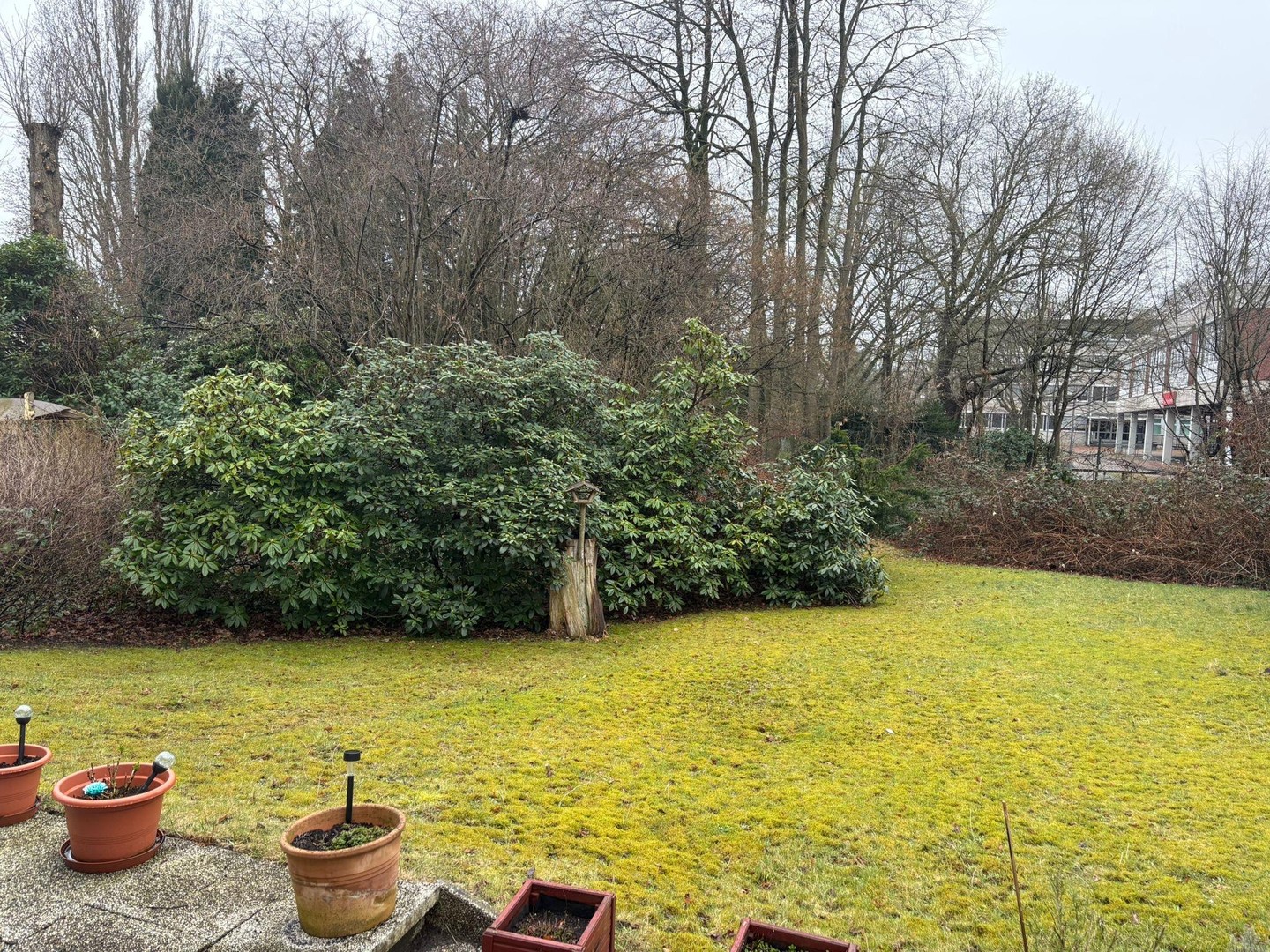 MFH + Baugrundstück/ Neubaupotenzial