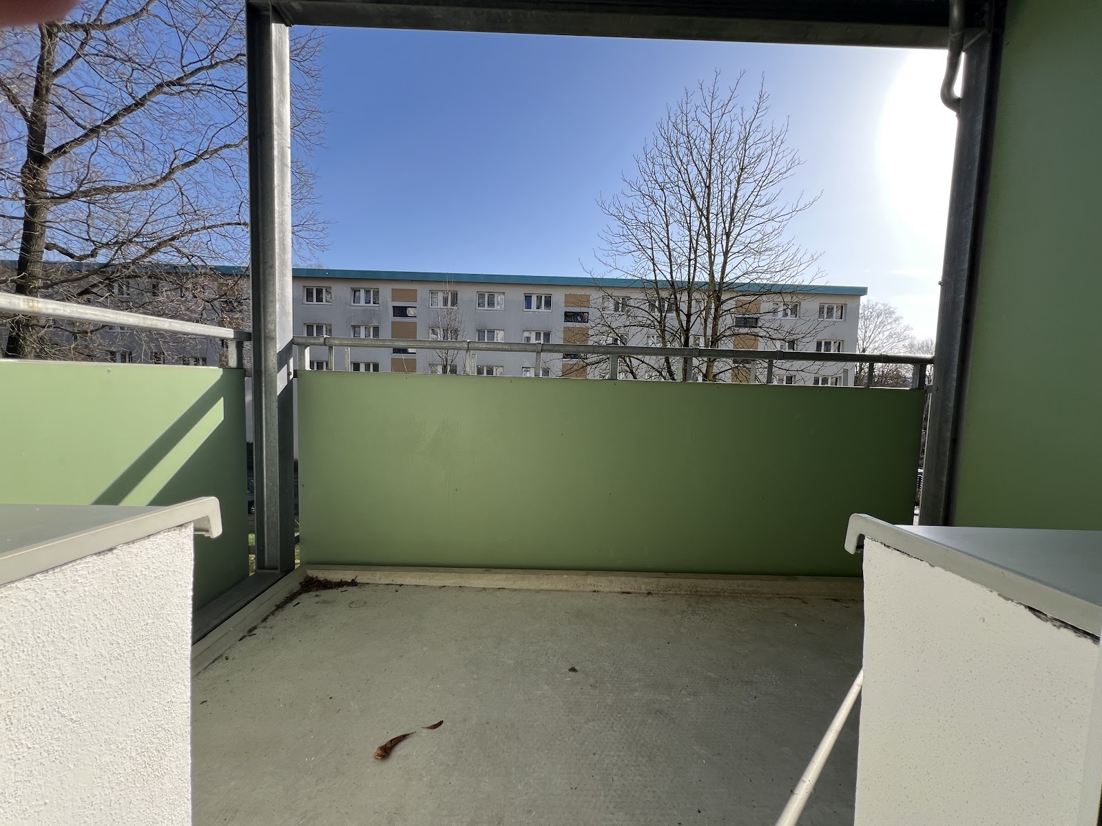 Frisch sanierte Erdgeschosswohnung mit Balkon direkt am Stadtpark für Naturliebhaber – Chemnitz – Vorschaubild 11