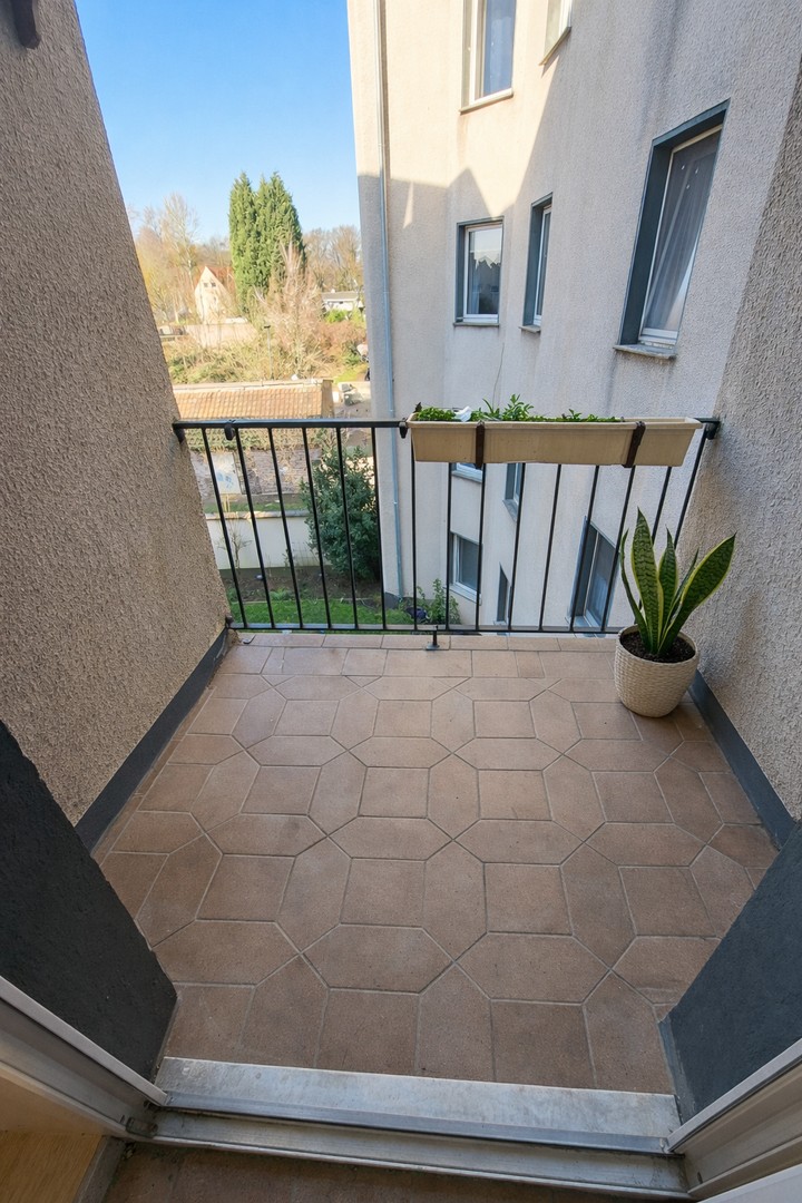 Property thumbnail 6