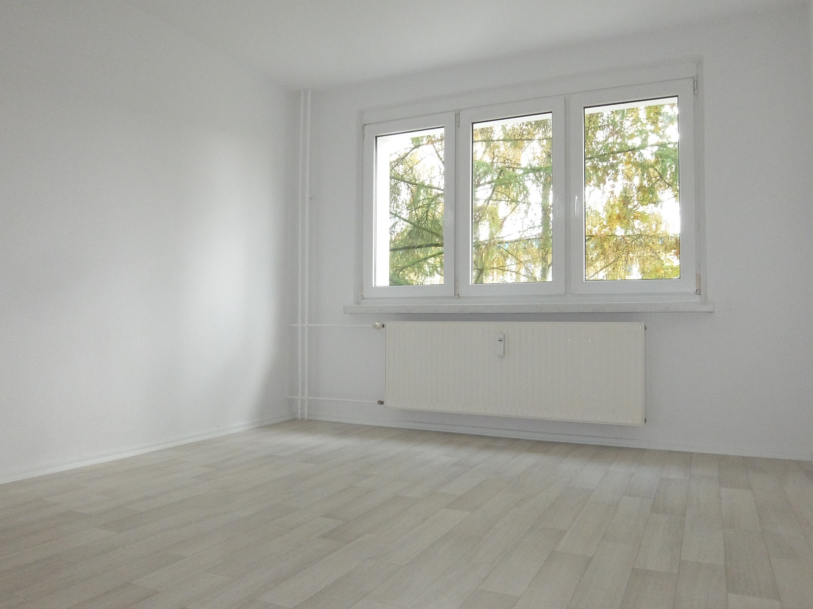 Komfort für Singles & Paare: Frisch sanierte Erdgeschosswohnung mit Balkon und Tageslichtbad – Chemnitz – Vorschaubild 5