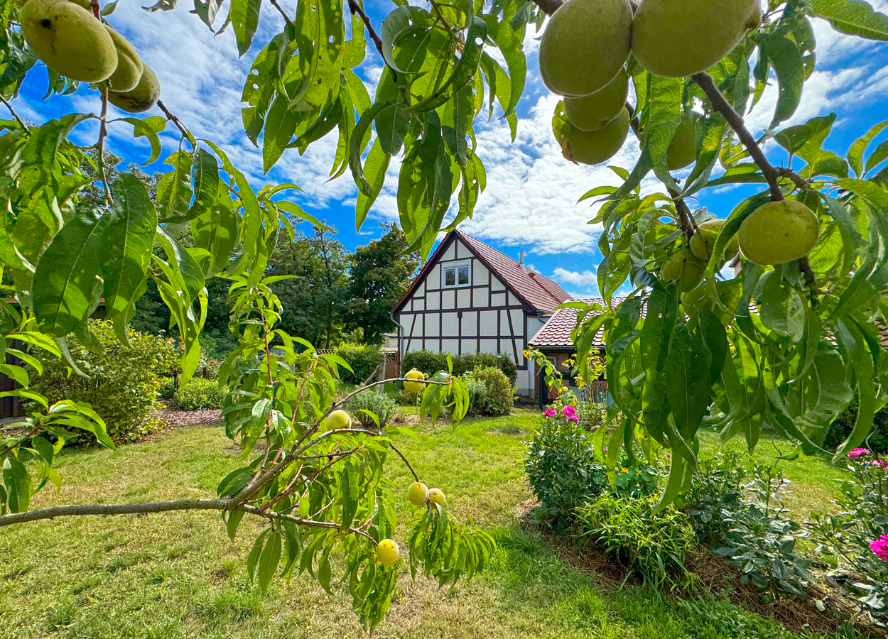Immobilie in Kalbe (Milde) - Liebe auf den ersten Blick... - Bild 2