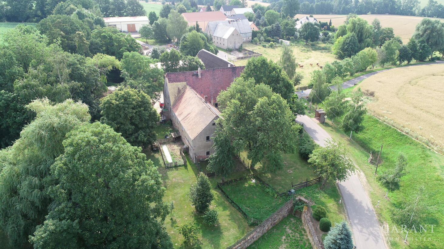 bg