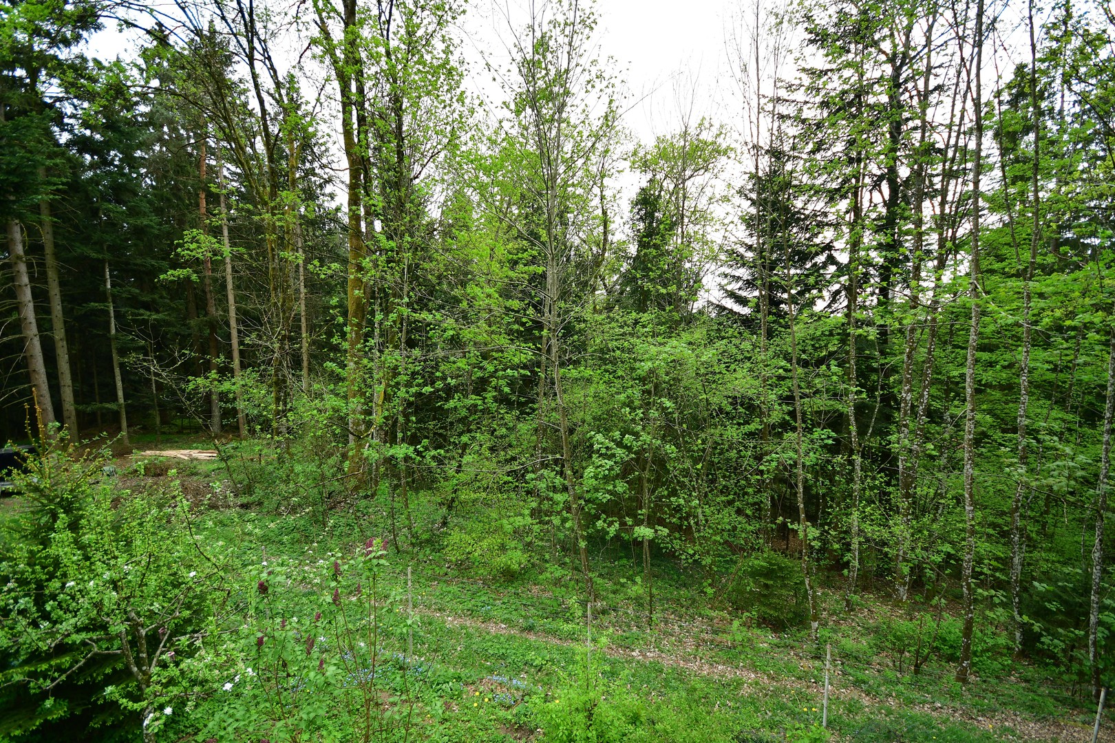 Property thumbnail 14