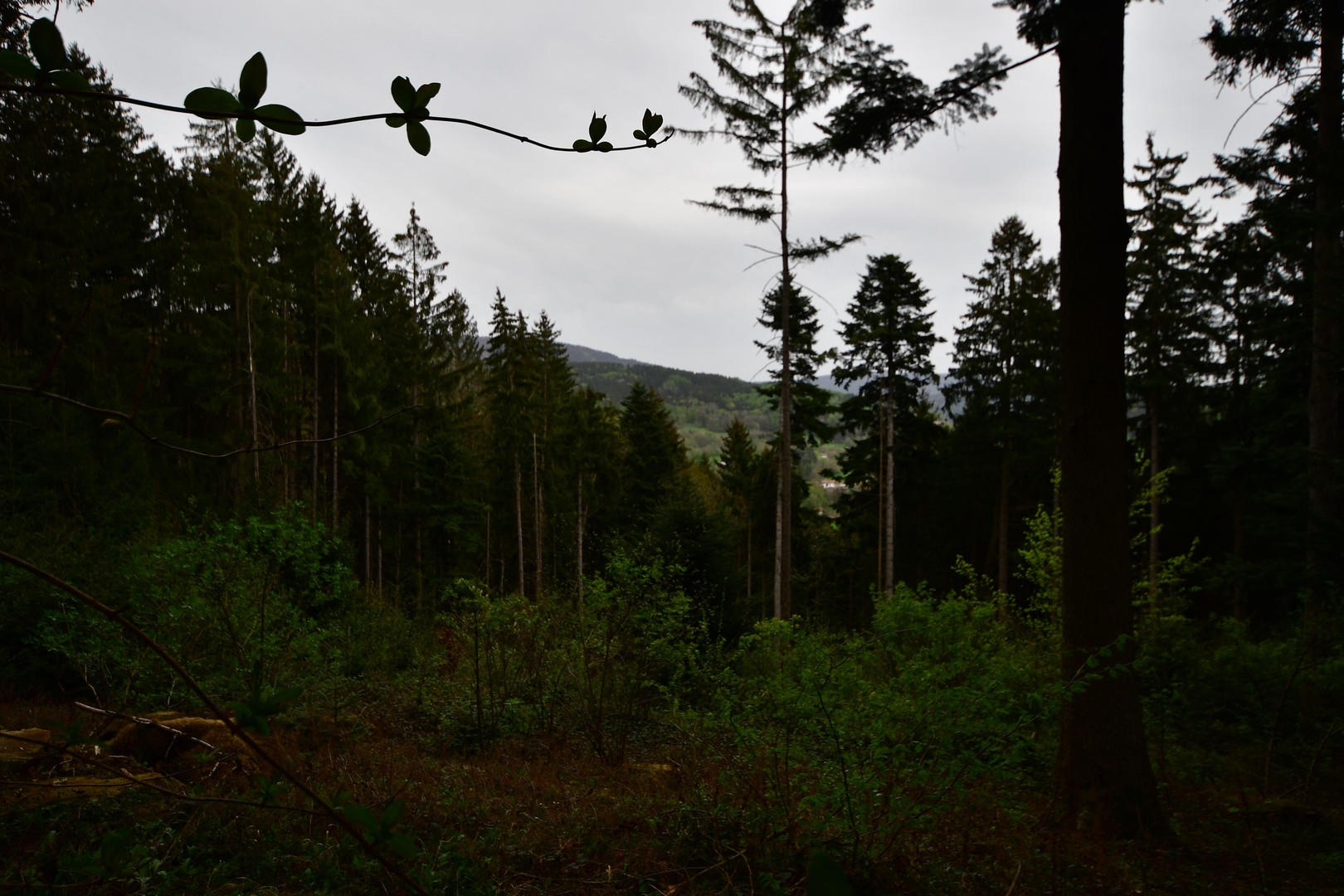 Property thumbnail 16