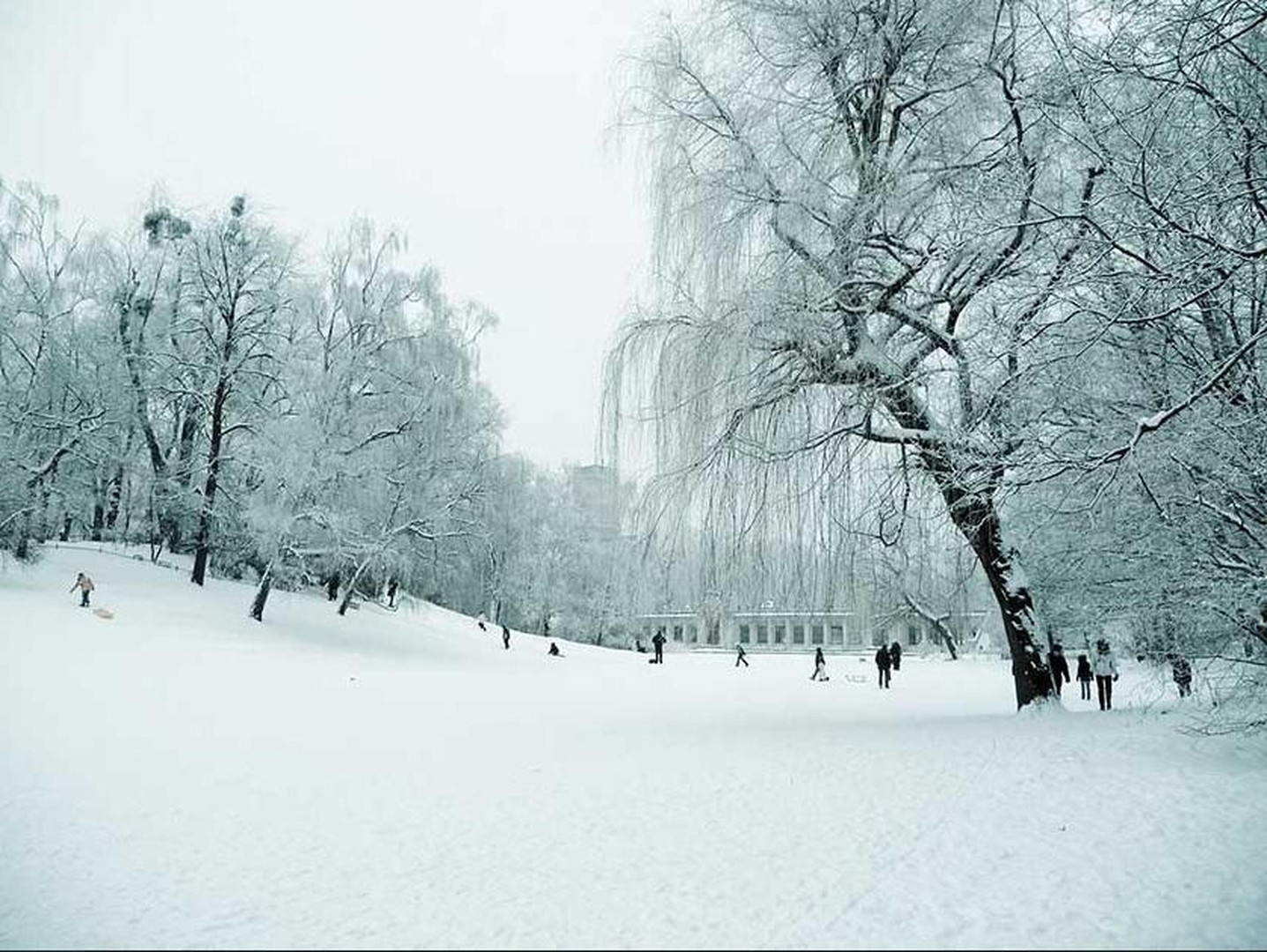 Property thumbnail 23