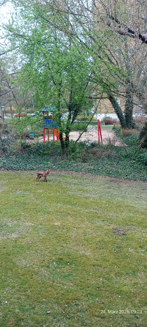 Property thumbnail 13