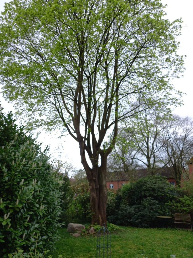 Property thumbnail 15