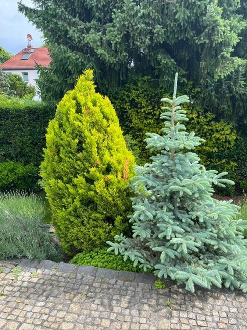 Property thumbnail 6