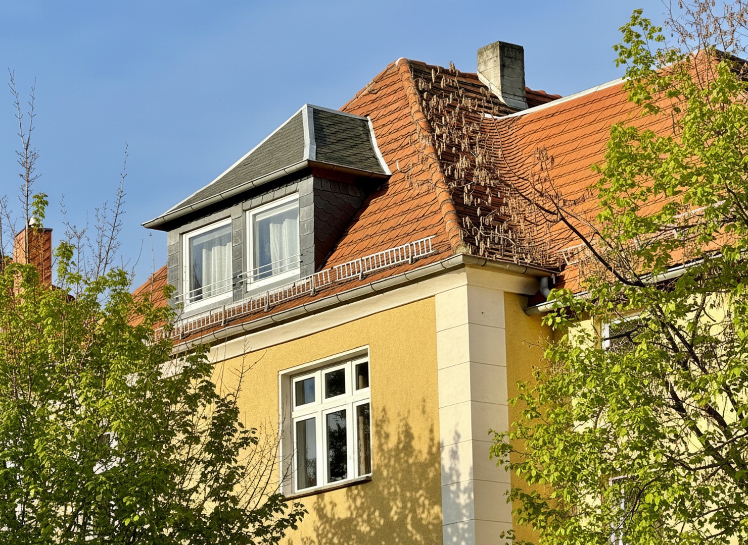 Property thumbnail 9