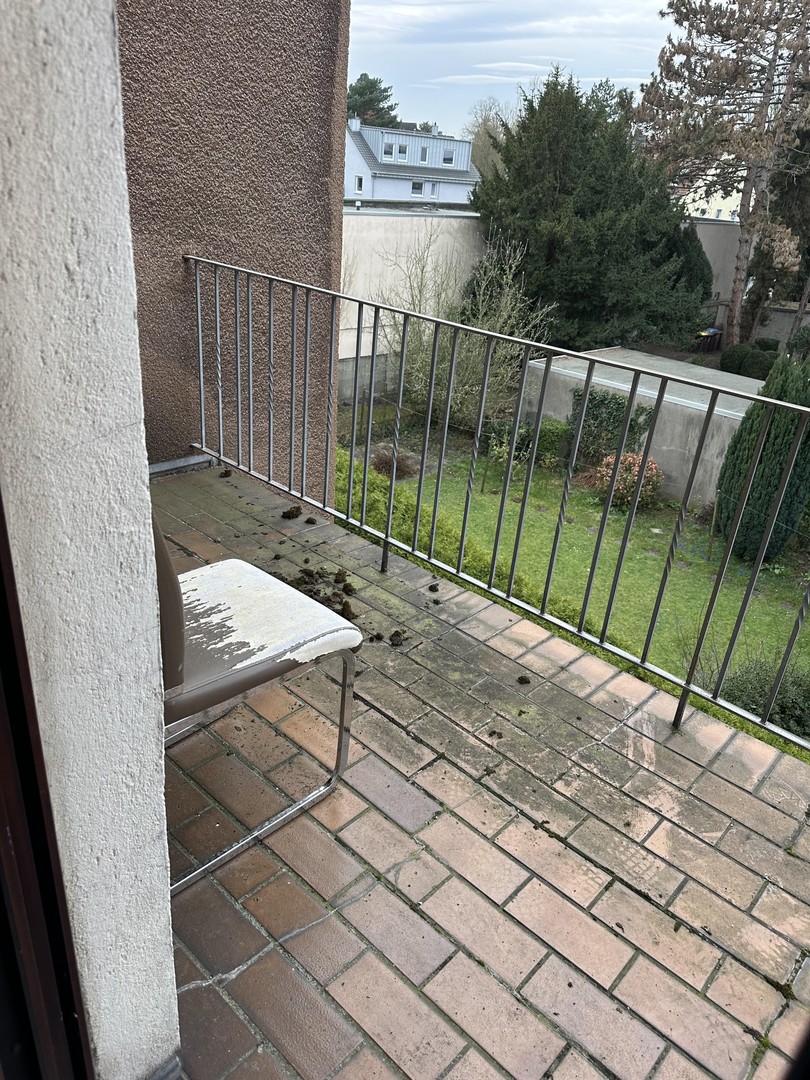 Property thumbnail 4