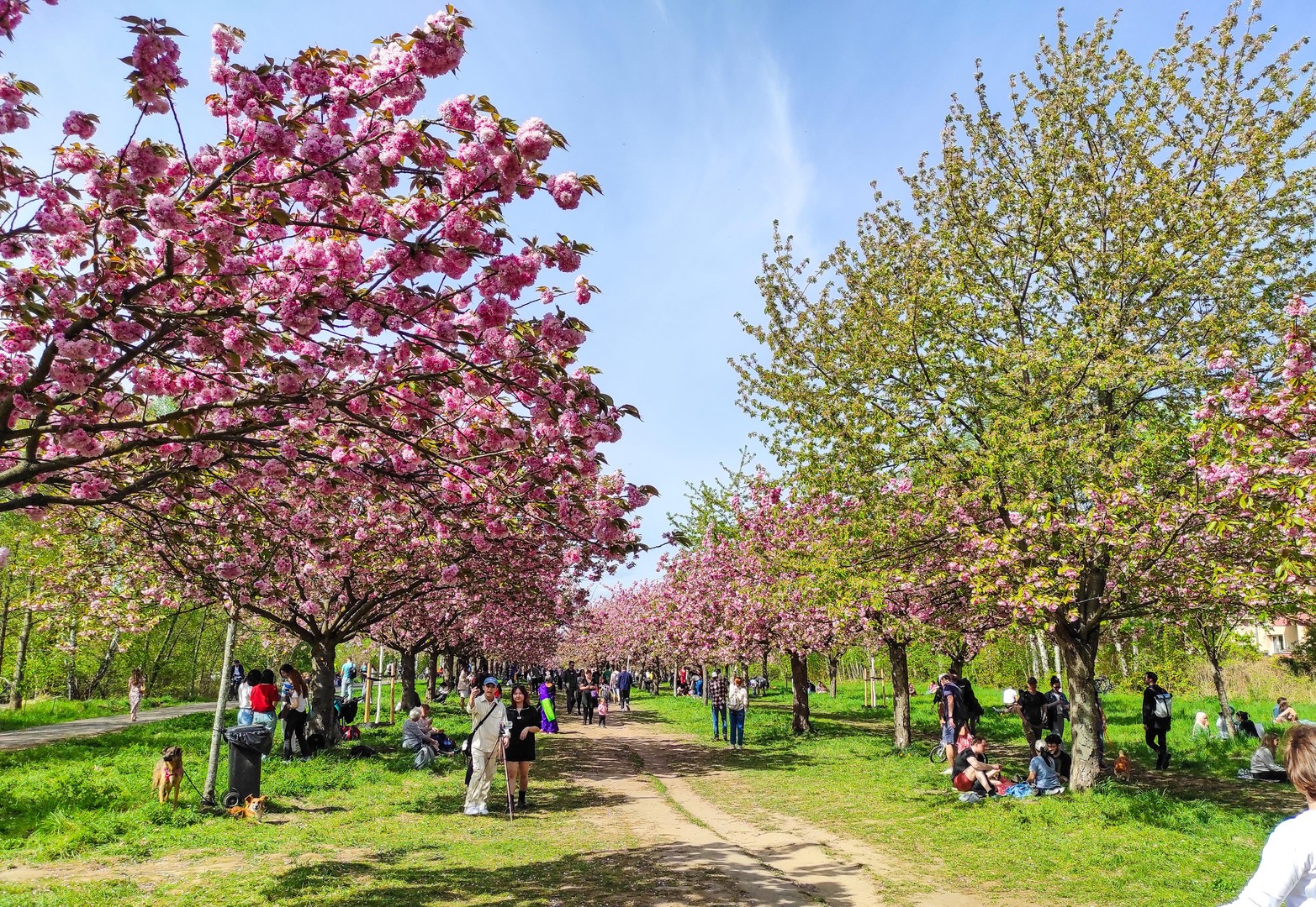 Property thumbnail 29