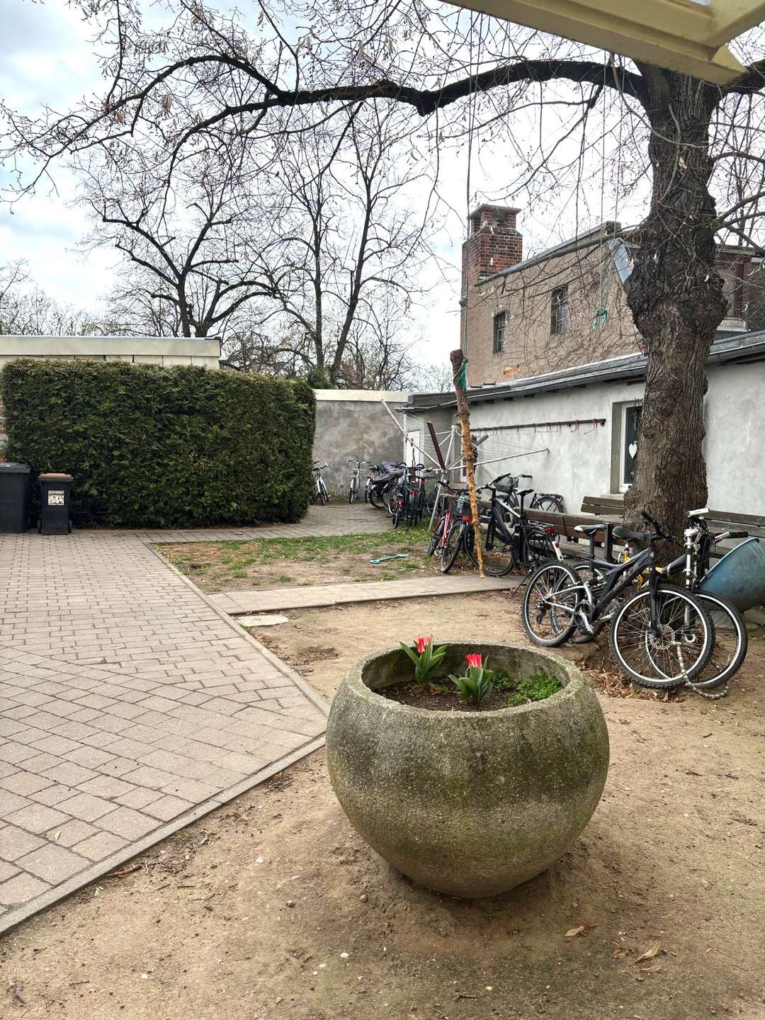 Property thumbnail 9