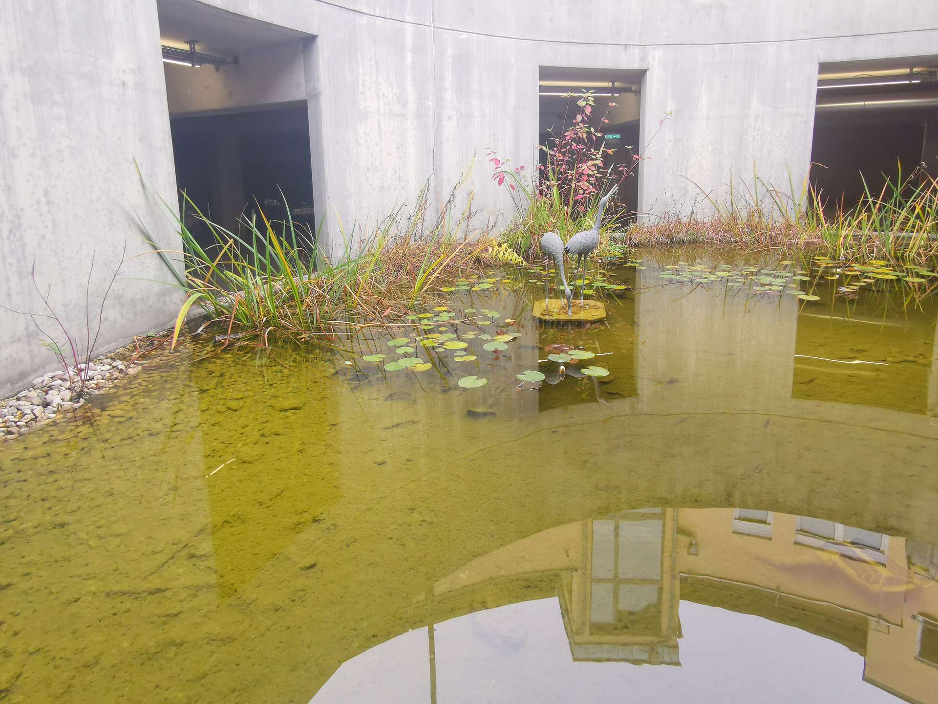 Property thumbnail 21