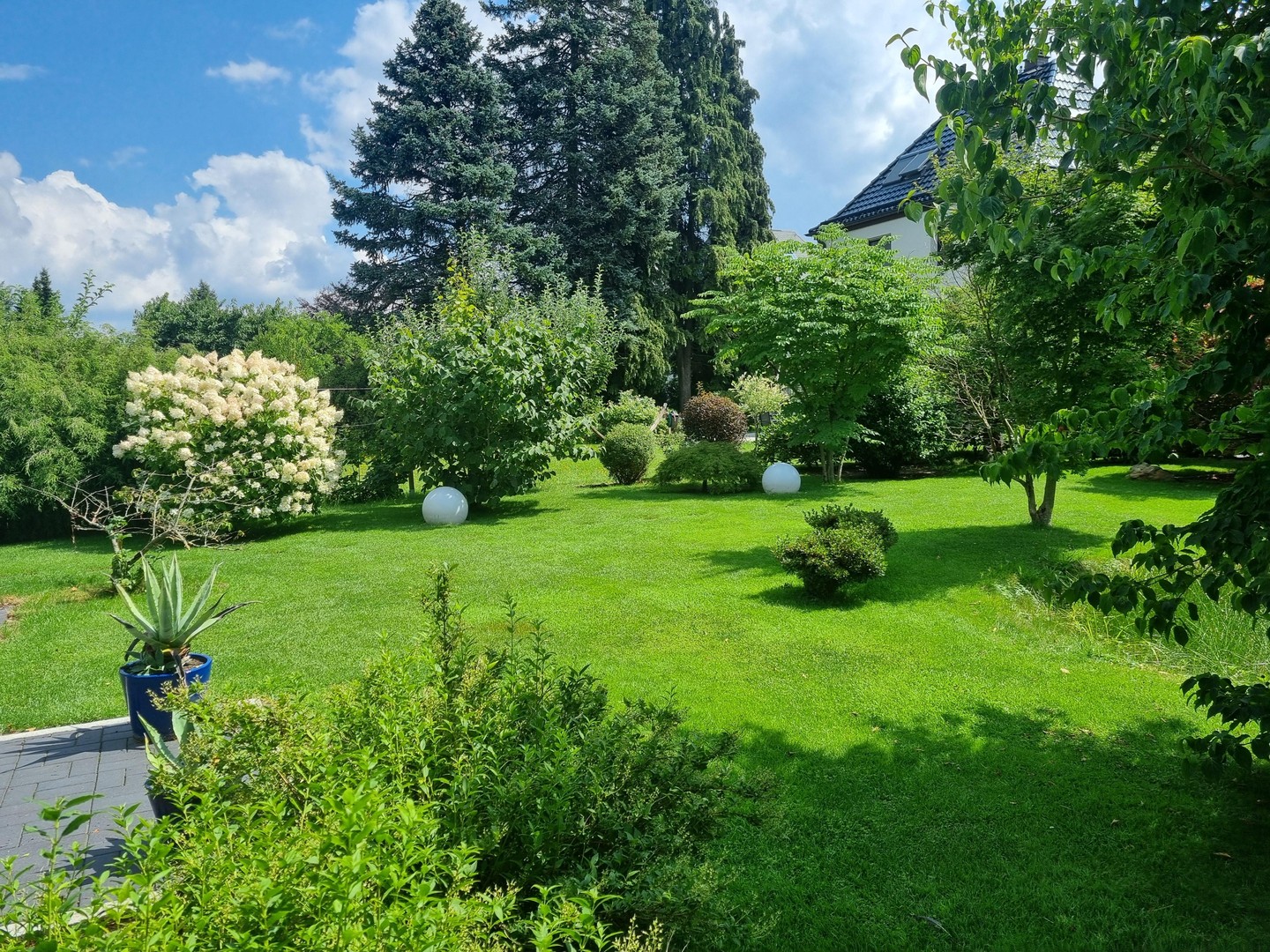 Exclusives Einfamilienhaus in ruhiger Stadtlage – Chemnitz – Vorschaubild 4
