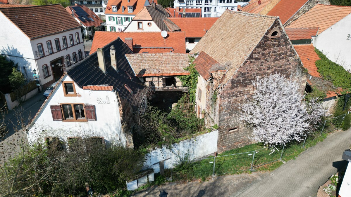 Sanierung oder Neubau /// 533 m² Grundstück mit Altbestand und gigantischer Scheune – Grünstadt / Asselheim – Bild 1 von 16