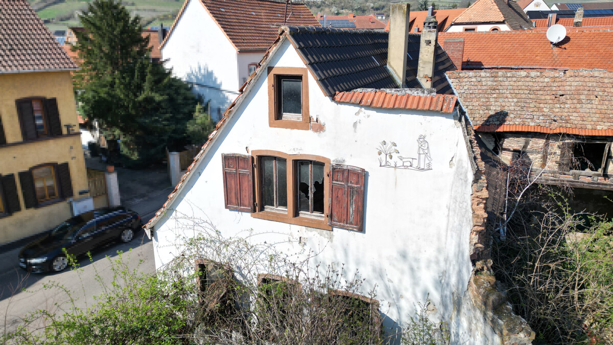 Sanierung oder Neubau /// 533 m² Grundstück mit Altbestand und gigantischer Scheune – Grünstadt / Asselheim – Vorschaubild 3