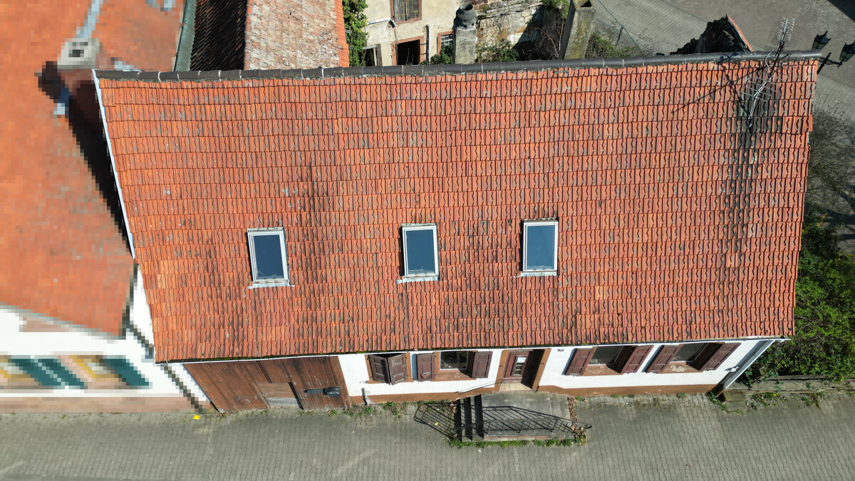 Sanierung oder Neubau /// 533 m² Grundstück mit Altbestand und gigantischer Scheune – Grünstadt / Asselheim – Vorschaubild 5