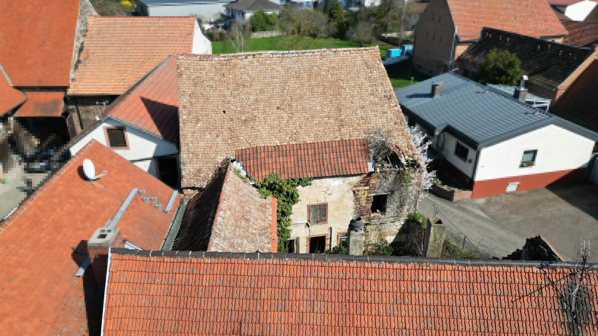 Sanierung oder Neubau /// 533 m² Grundstück mit Altbestand und gigantischer Scheune – Grünstadt / Asselheim – Vorschaubild 6